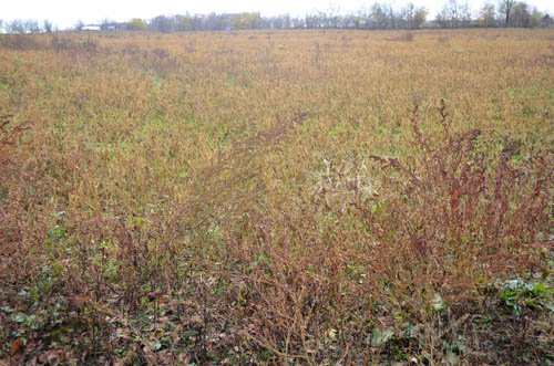 Property photo 43 - 80 Acres & Home - Property Offered in 4 Tracts from 2.3 to 30.0 Acres